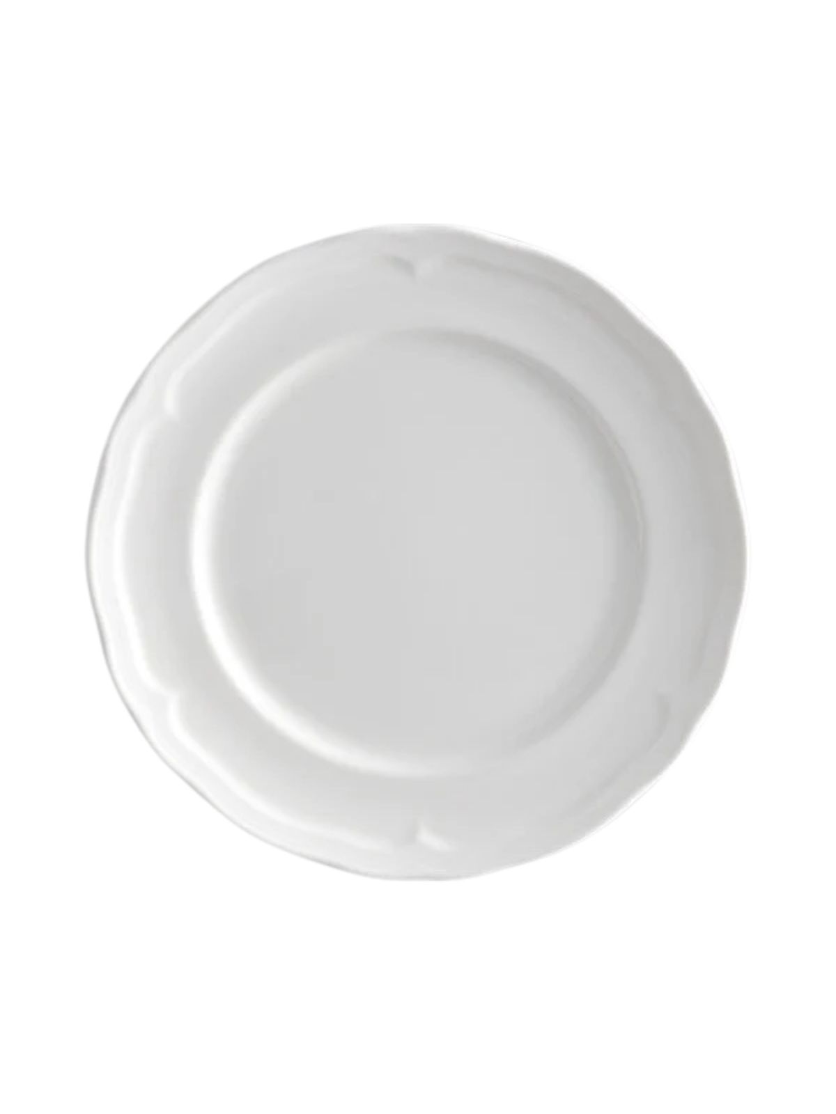 Scalloped Dinner Plate